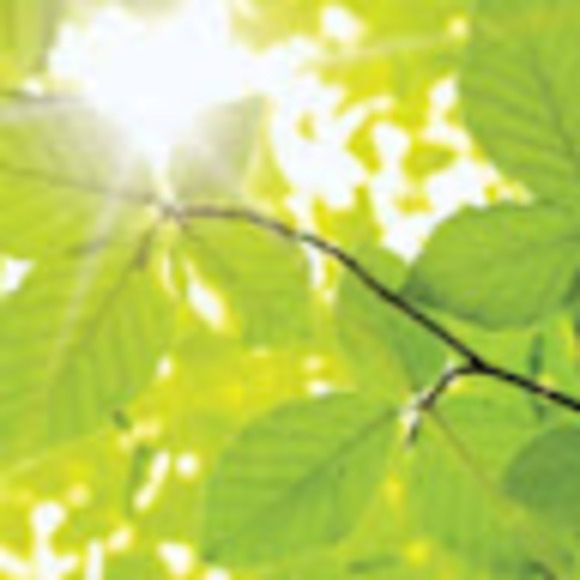 Meet your Posher, Kevin - Picture 1 of 1